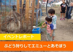 ぶどう狩りしてエミューとあそぼう　2012年6月24日