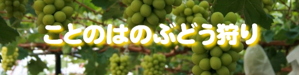 ことのはのぶどう狩り