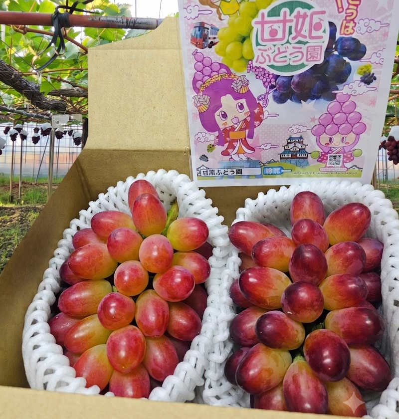 しんく